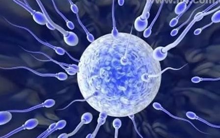 试管移植后腰酸背痛正常吗？