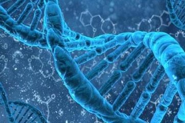 女性有染色体罗氏易位在朔州市做试管养囊成功率高吗？试管移植后需要保胎吗！