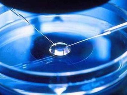 子宫纵隔生育困难可以在邵武市做三代试管吗？子宫有问题做试管的成功率高吗？